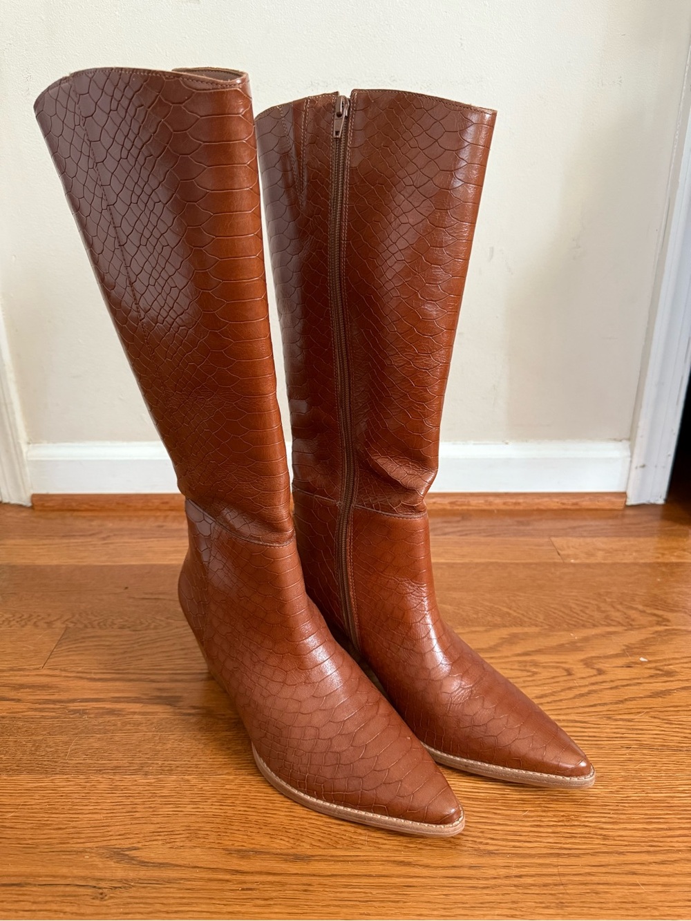 Matisse Cognac croc embossed Pointed-Toe Knee high Boots